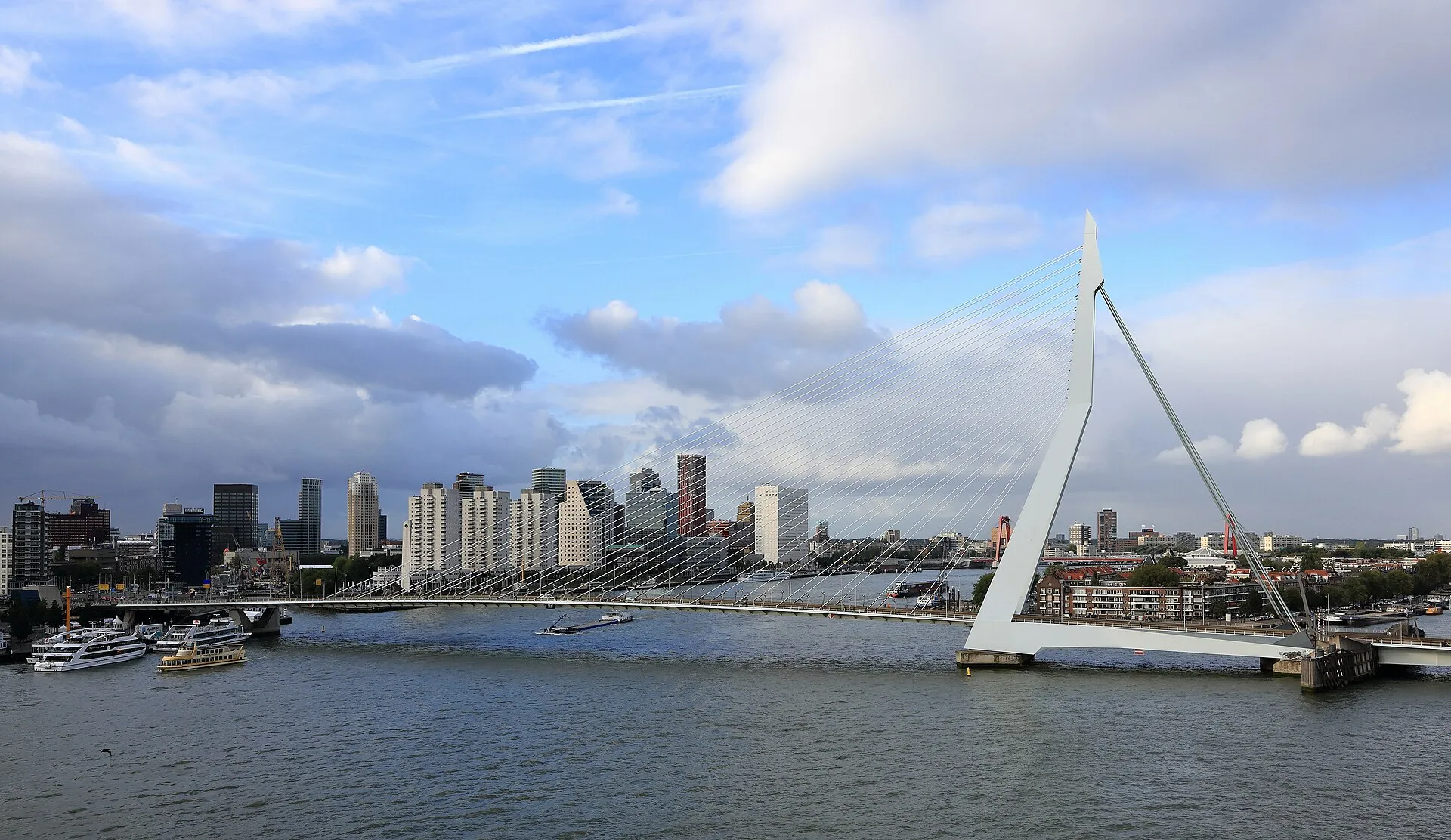 Erasmus Bridge and the Rotterdam skyline