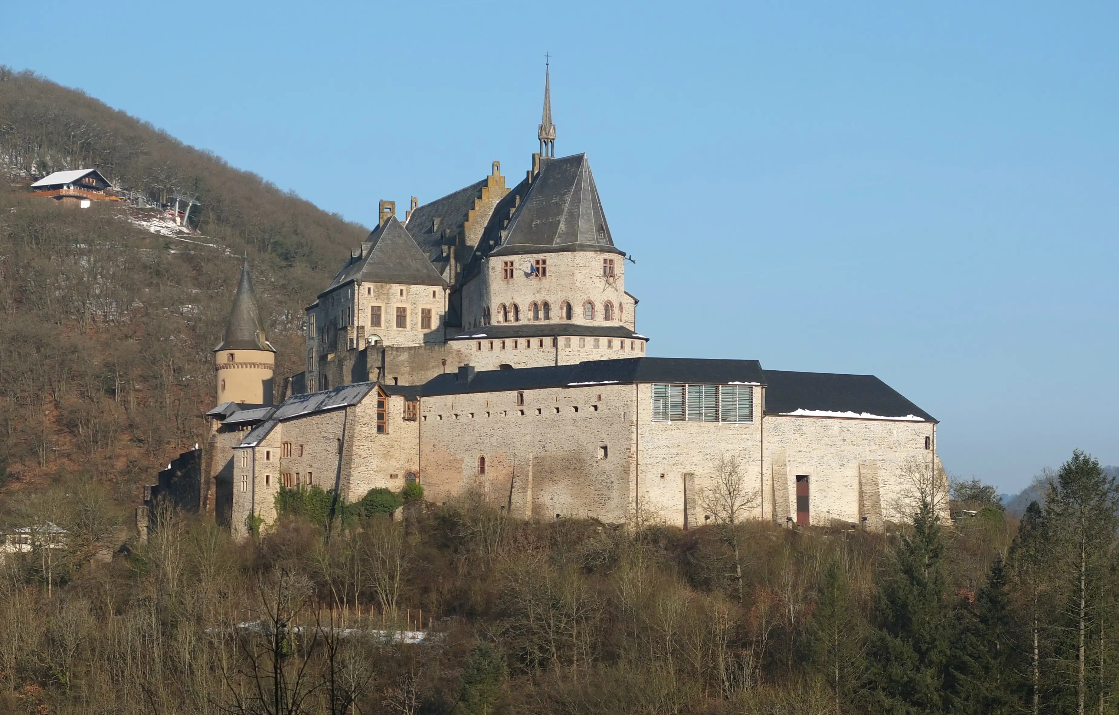 Kasteel Vianden op een beboste helling