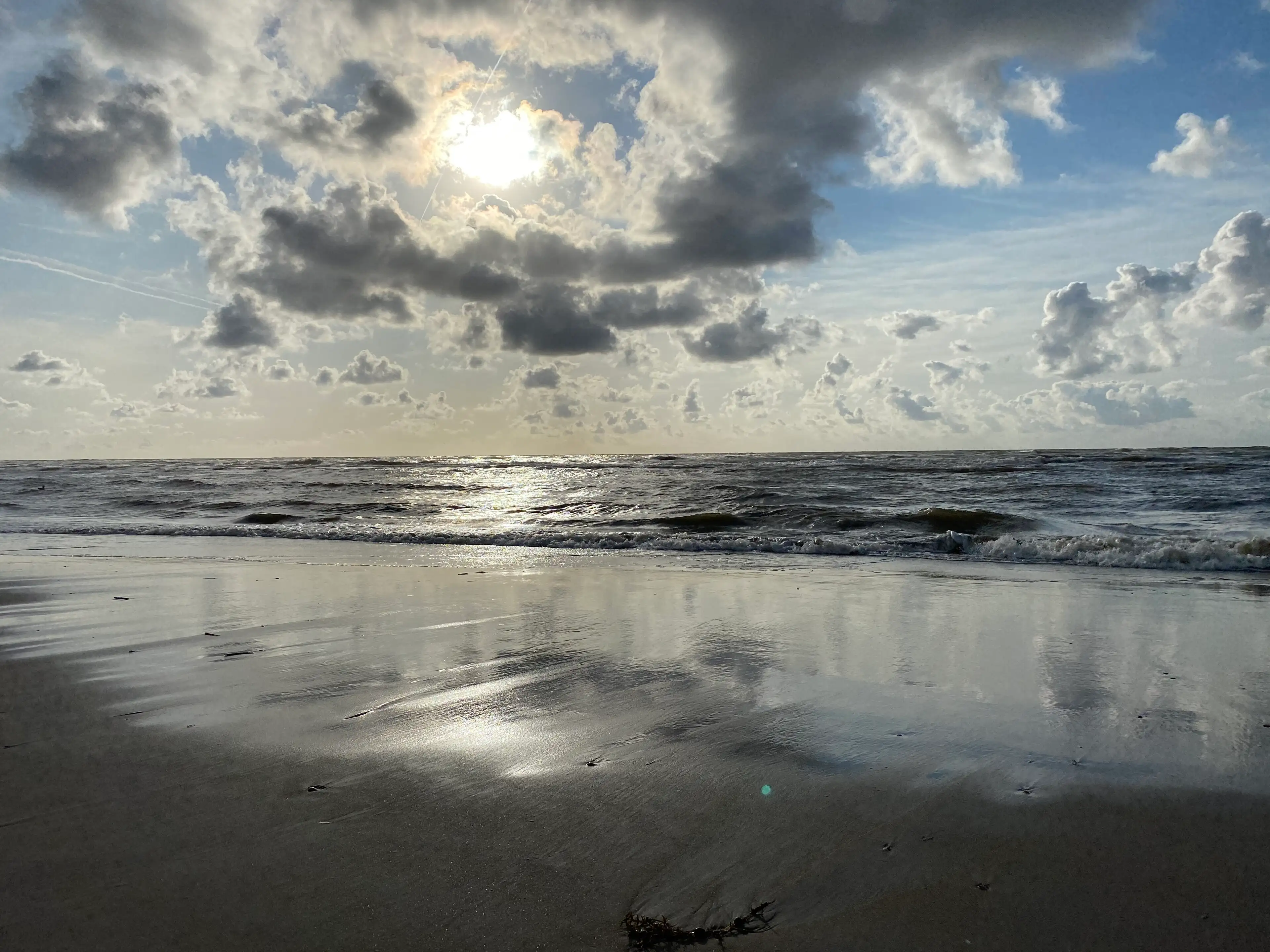 Le rivage de la mer du Nord à Zandvoort